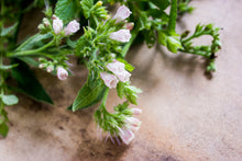 Load image into Gallery viewer, Comfrey Salve